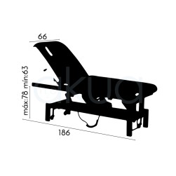 Camilla Electrica de dos cuerpos